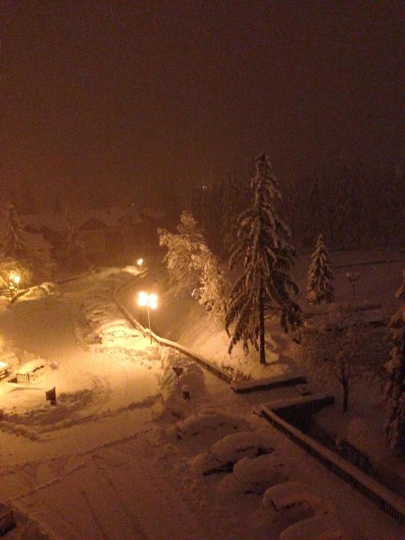 B&B La Montanara San Martino Di Castrozza Esterno foto