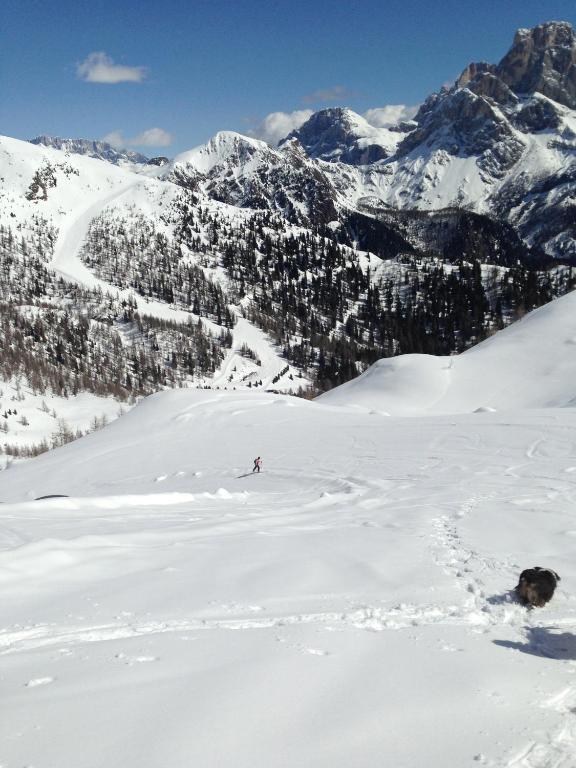 B&B La Montanara San Martino Di Castrozza Esterno foto