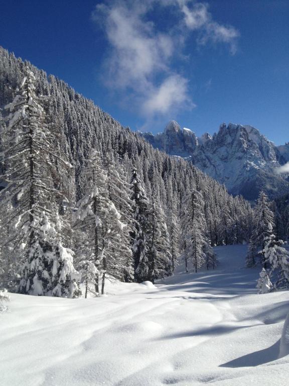 B&B La Montanara San Martino Di Castrozza Esterno foto