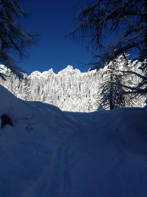 B&B La Montanara San Martino Di Castrozza Esterno foto